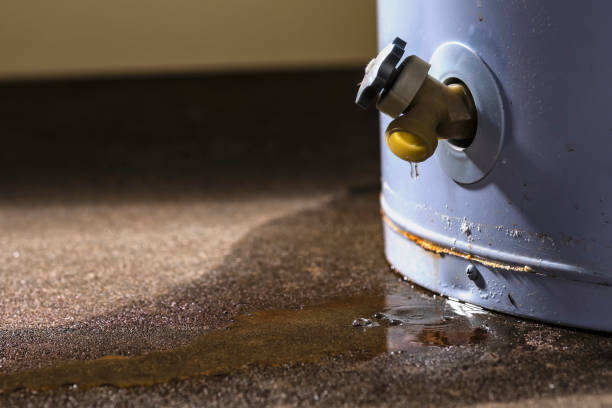Best Professional water damage repair  in New Middletown, OH