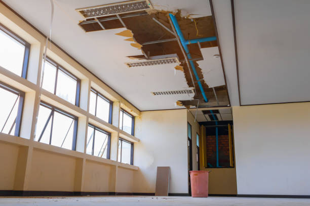 Best Water damage restoration company  in New Middletown, OH