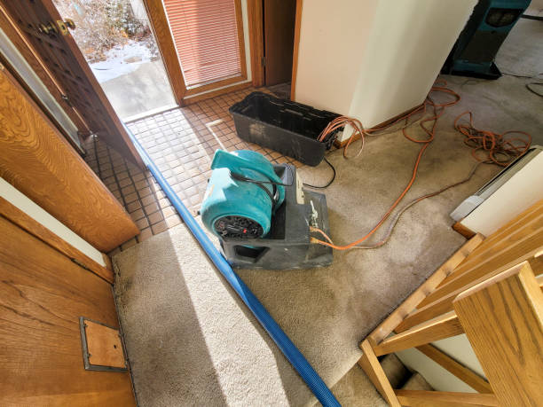 Best Water damage restoration near me  in New Middletown, OH