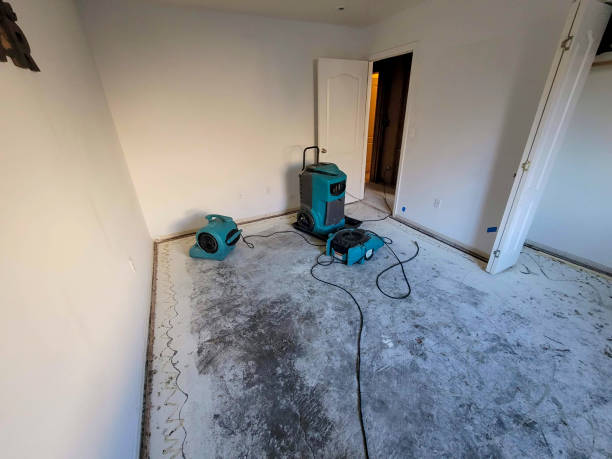 Best Residential water damage restoration  in New Middletown, OH
