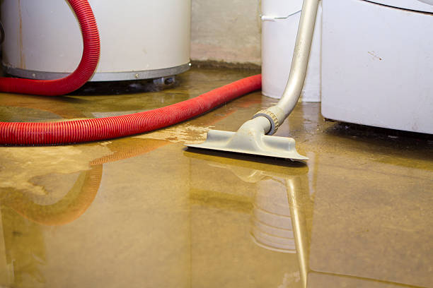 Best Flood restoration services  in New Middletown, OH