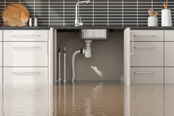 Best Water damage cleanup near me  in New Middletown, OH