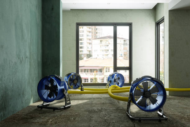 Trusted New Middletown, OH Water damage restoration Experts
